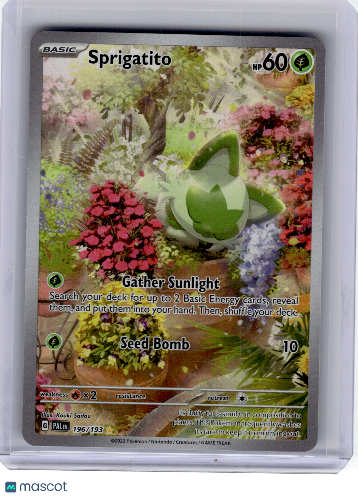 2023 Pokemon—Sprigatito #196 Paldea Evolved—Illustration Rare Holo