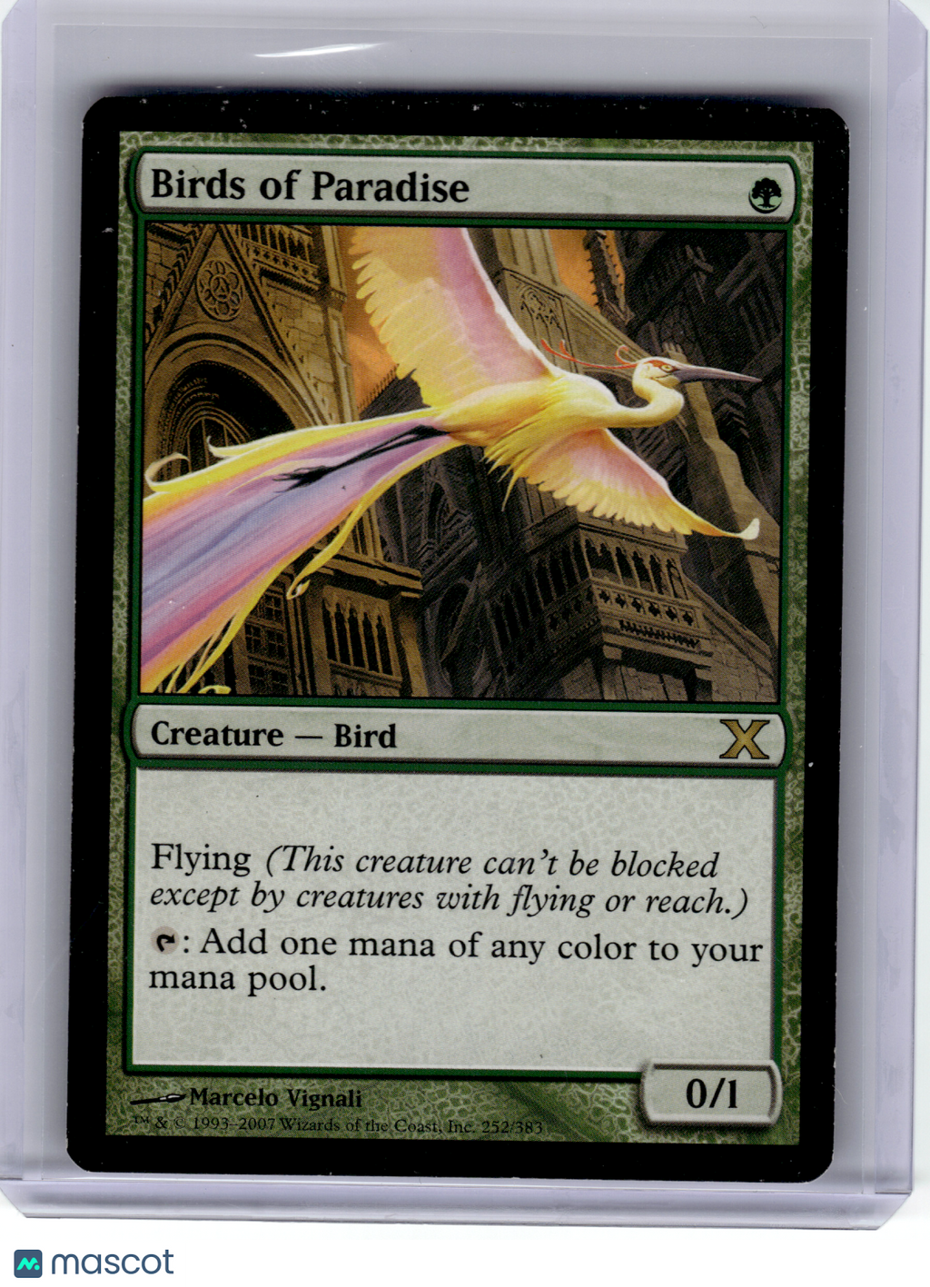 2007 Magic: TG—Birds of Paradise #252 10th Edition—Non-Foil [Heavily Played]