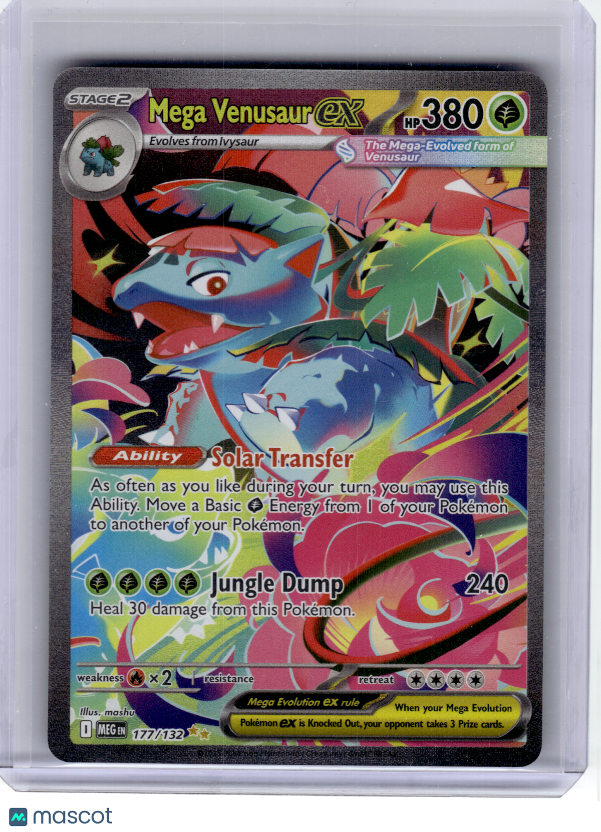 2025 Pokemon—Mega Venusaur EX #177 Mega Evolution—Special Illustration Rare Holo