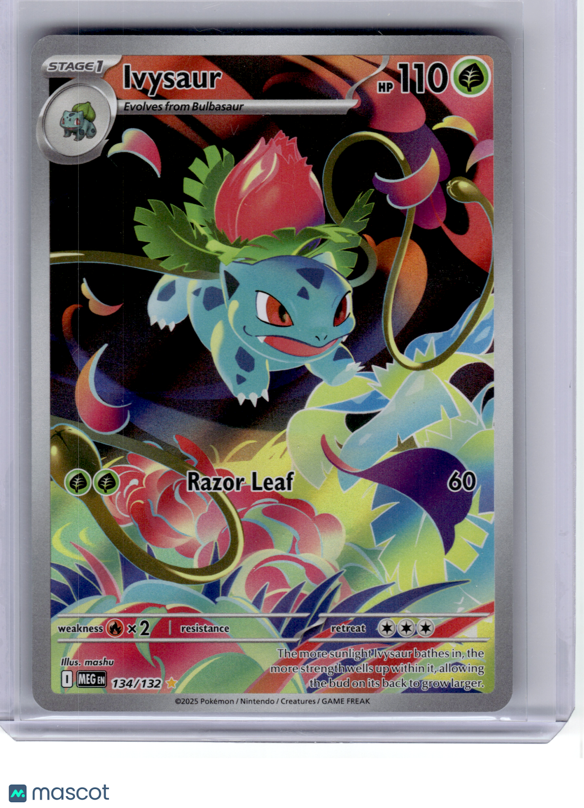 2025 Pokemon—Ivysaur #134 Mega Evolution—Illustration Rare Holo