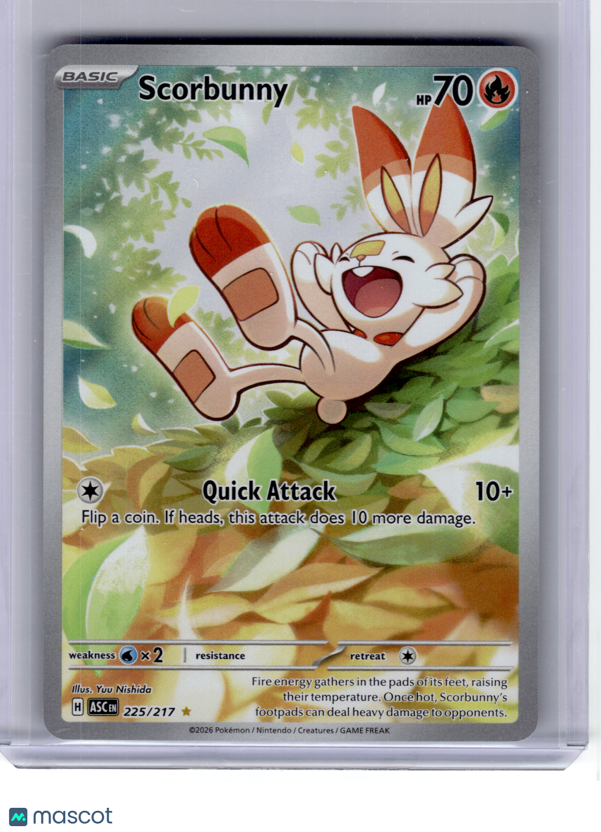 2026 Pokemon—Scorbunny #225 Ascended Heroes—Illustration Rare Holo