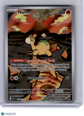 2026 Pokemon—Numel #223 Ascended Heroes—Illustration Rare Holo