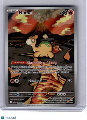 2026 Pokemon—Numel #223 Ascended Heroes—Illustration Rare Holo