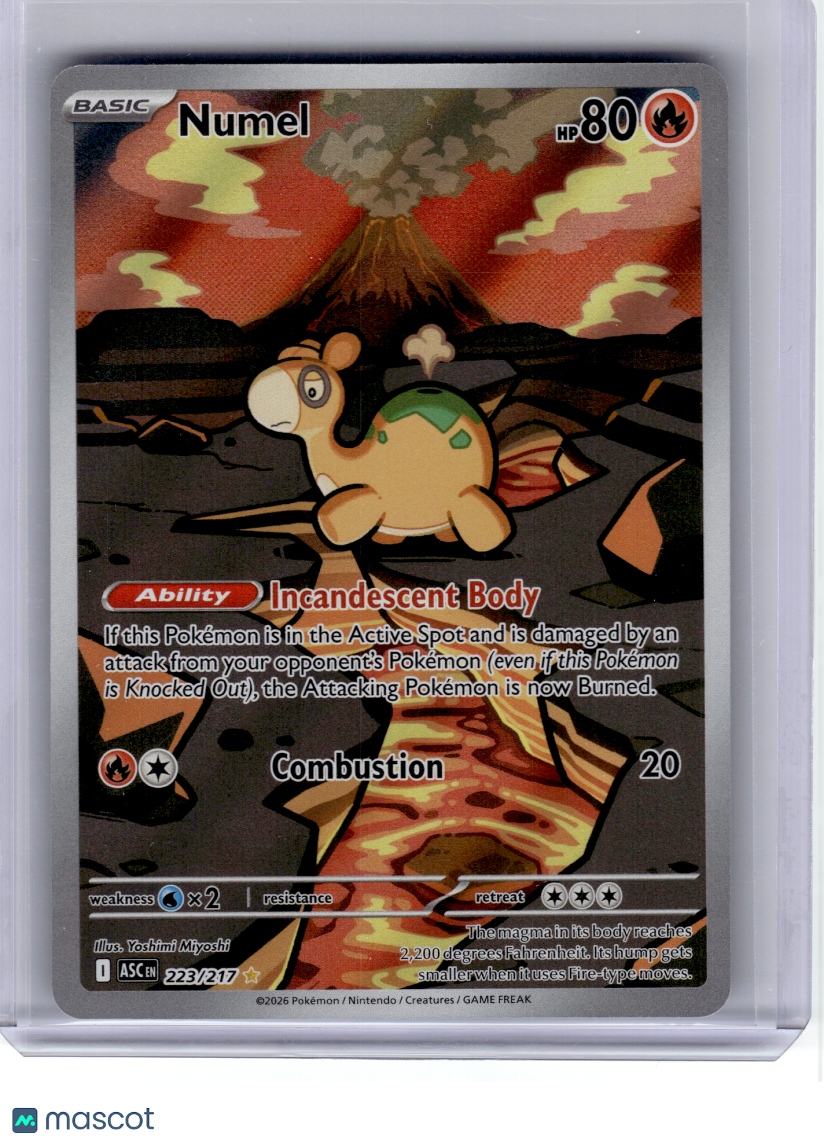 2026 Pokemon—Numel #223 Ascended Heroes—Illustration Rare Holo