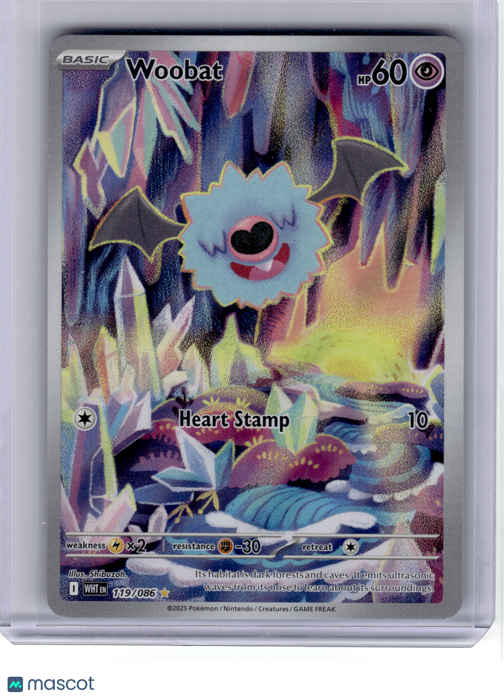 2025 Pokemon—Woobat #119 White Flare—Illustration Rare Holo