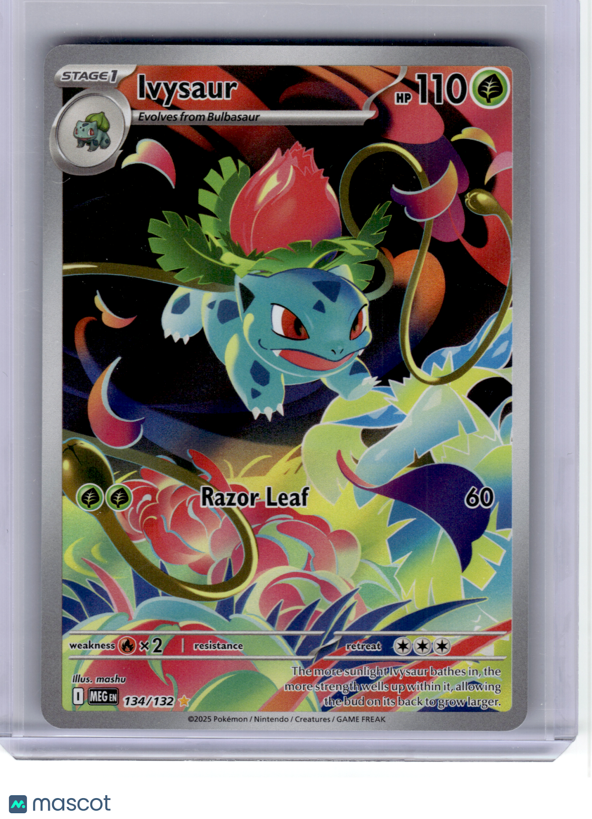 2025 Pokemon—Ivysaur #134 Mega Evolution—Illustration Rare Holo