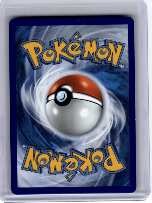 2025 Pokemon—Eevee EX #SVP EN 174 Scarlet & Violet—Black Star Promo Holo