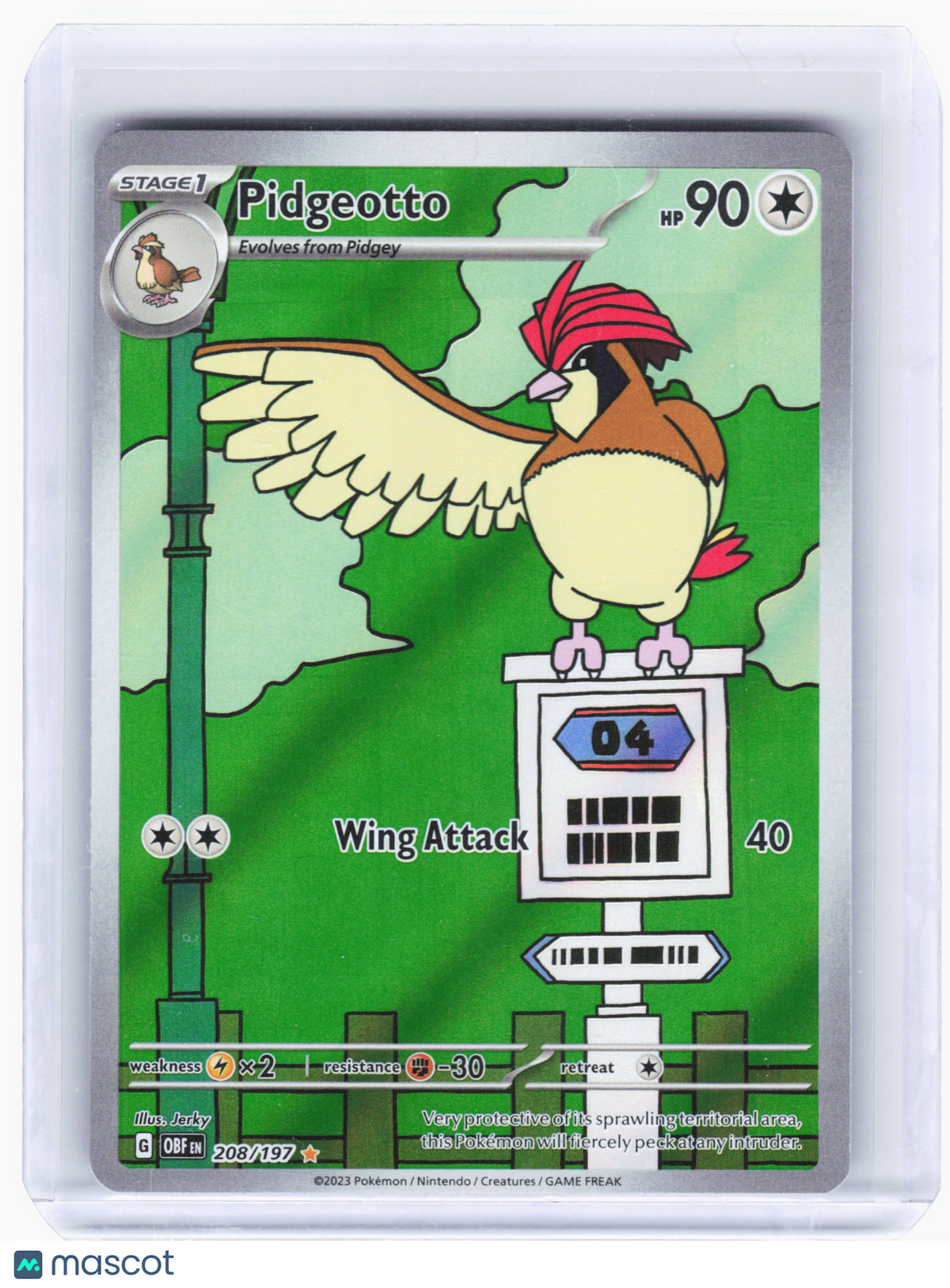 2023 Pokemon—Pidgeotto #208 Obsidian Flames—Illustration Rare Holo