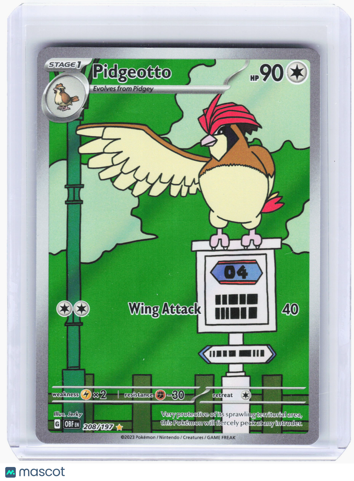 2023 Pokemon—Pidgeotto #208 Obsidian Flames—Illustration Rare Holo