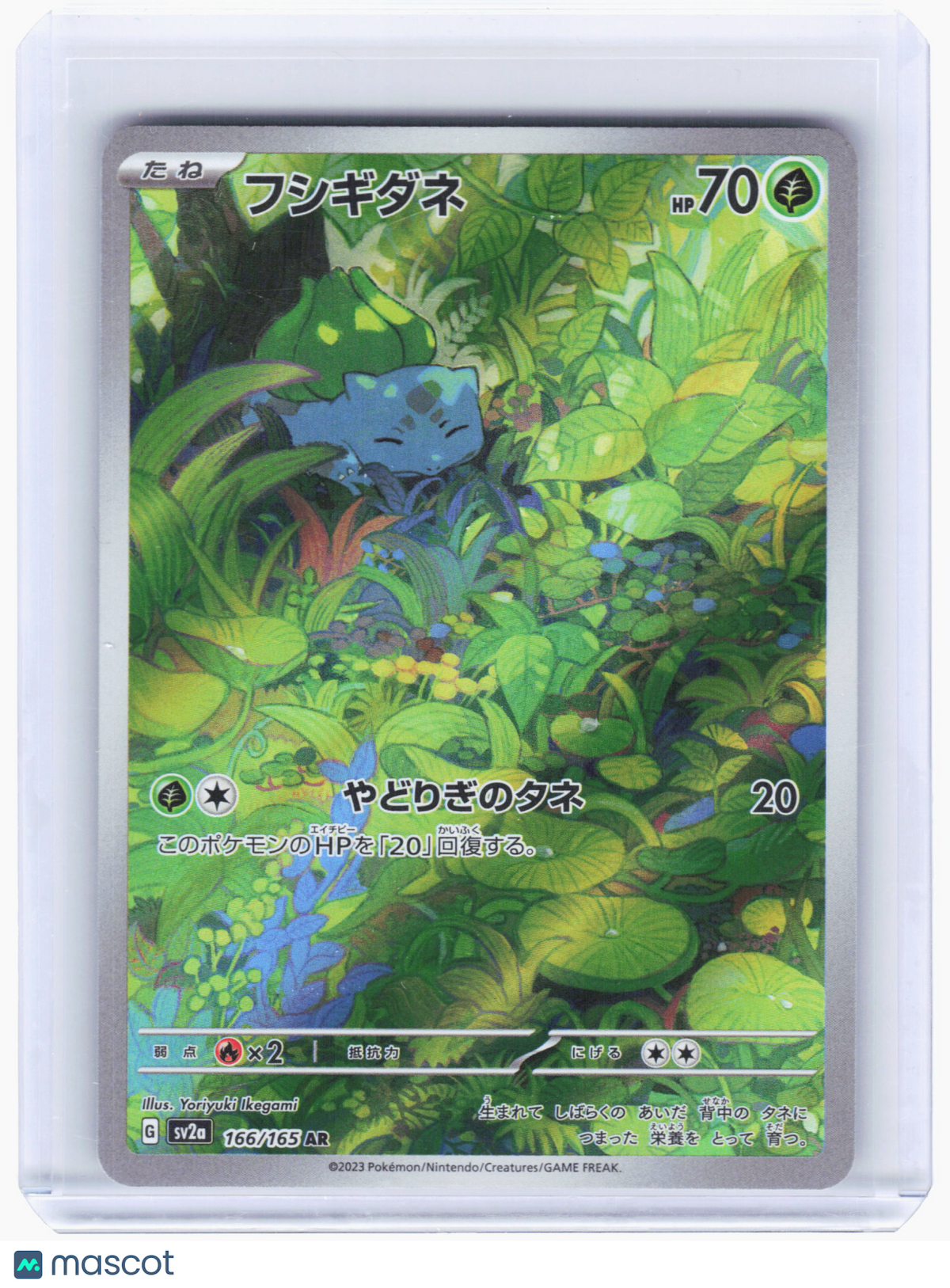 2023 Pokemon—Bulbasaur #166 Pokemon Card 151—Art Rare Holo Japanese