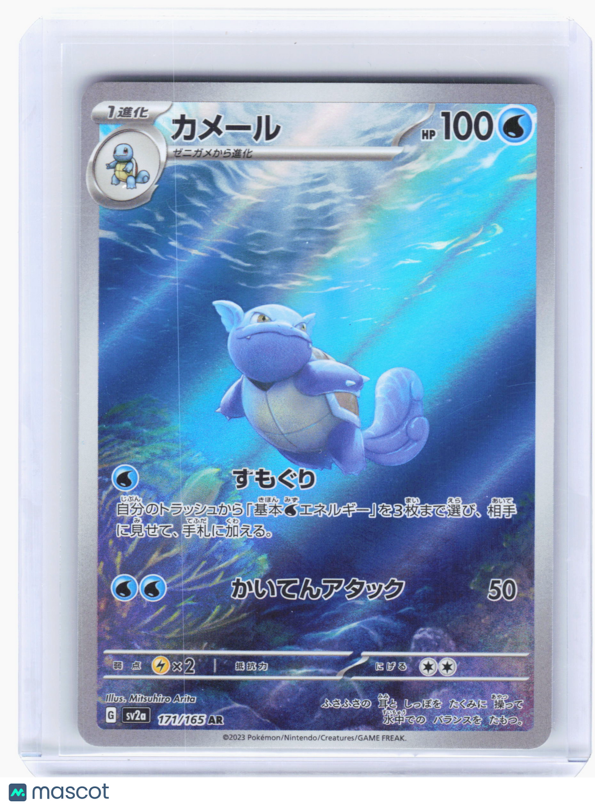 2023 Pokemon—Wartortle #171 Pokemon Card 151—Art Rare Holo Japanese