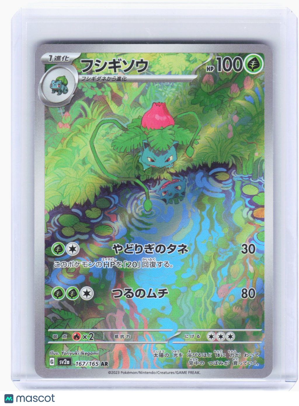 2023 Pokemon—Ivysaur #167 Pokemon Card 151—Art Rare Holo Japanese