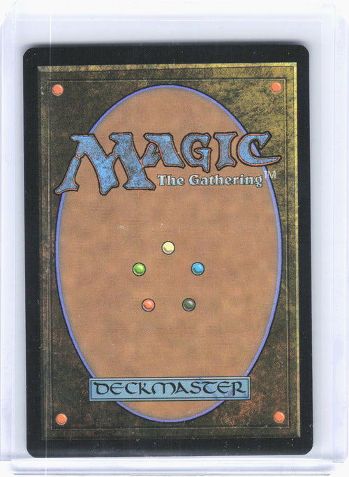 2025 Magic: The Gathering—Sword of the Animist #362 (FIC)—Rare Non-Foil