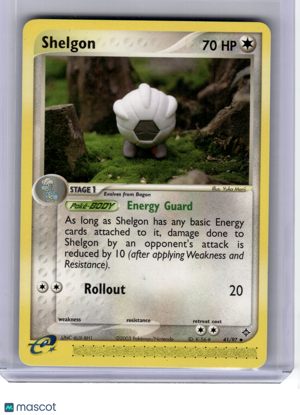 2004 Pokemon—Shelgon #41 EX Dragon—Uncommon Non-Holo
