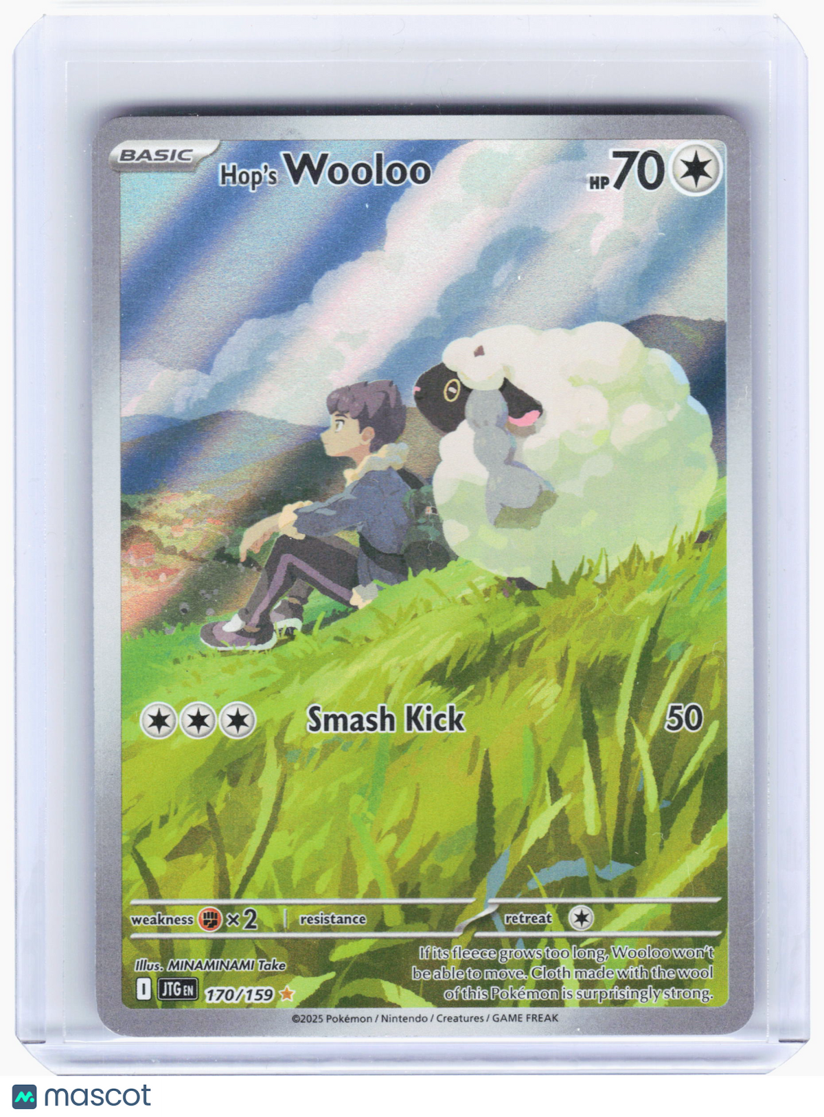 2025 Pokemon—Hop's Wooloo #170 Journey Together—Illustration Rare Holo