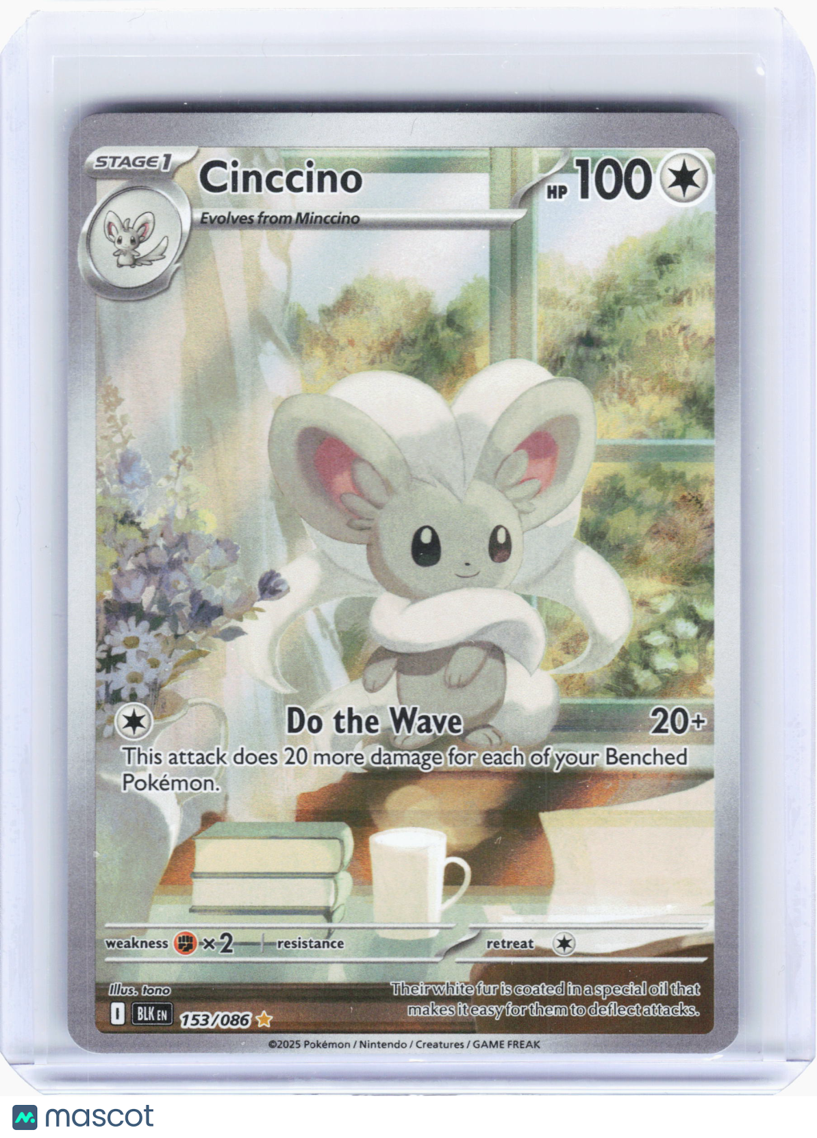 2025 Pokemon—Cinccino #153 Black Bolt—Illustration Rare Holo