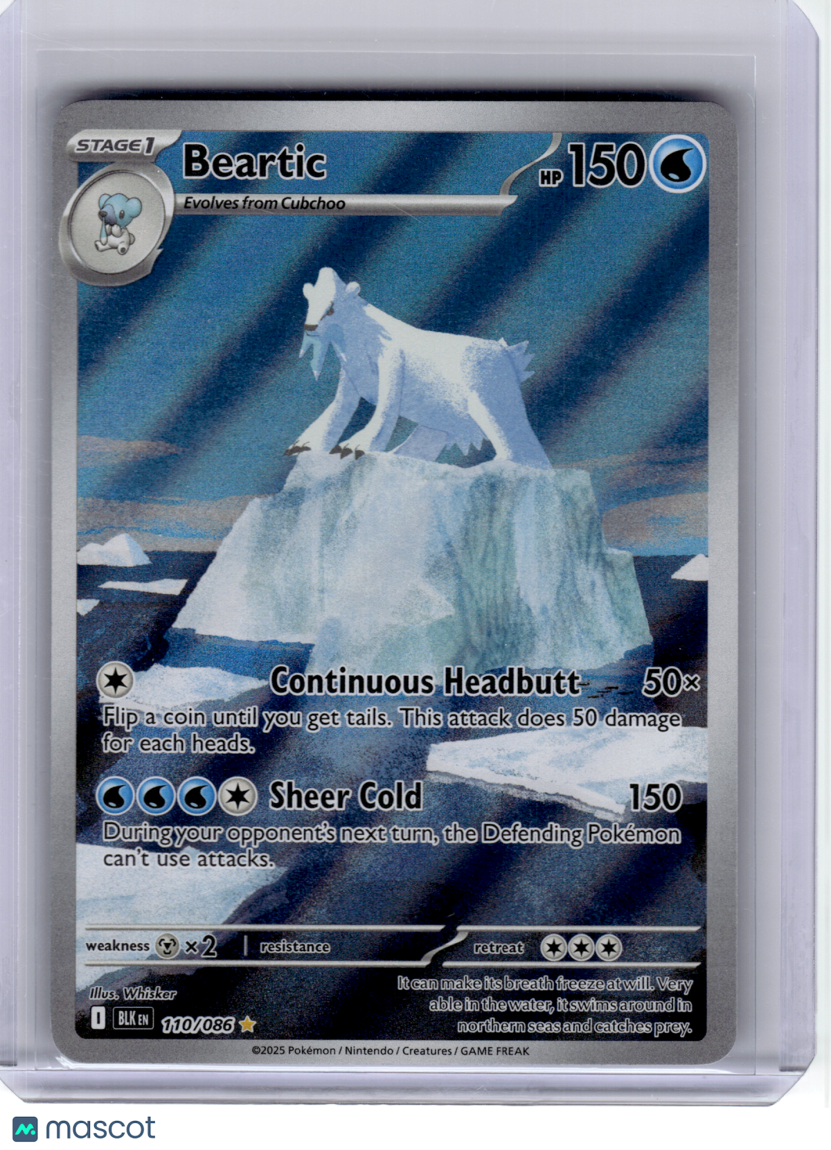 2025 Pokemon—Beartic #110 Black Bolt—Illustration Rare Holo