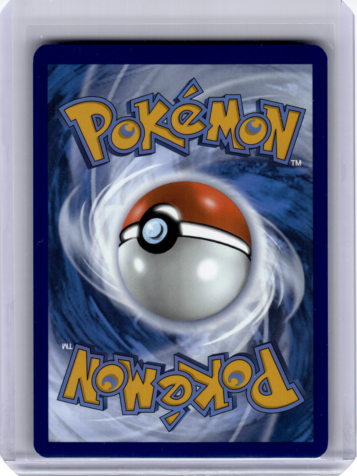 2025 Pokemon—Beartic #110 Black Bolt—Illustration Rare Holo