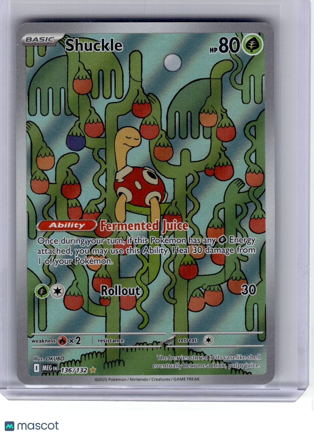 2025 Pokemon—Shuckle #136 Mega Evolution—Illustration Rare Holo