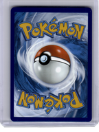 2025 Pokemon—Shuckle #136 Mega Evolution—Illustration Rare Holo