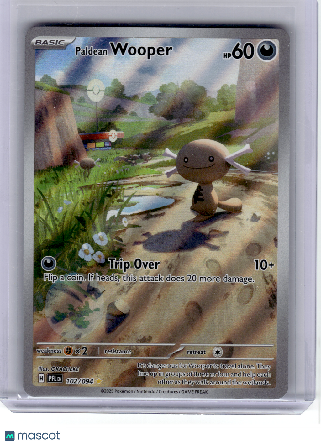 2025 Pokemon—Paldean Wooper #102 Phantasmal Flames—Illustration Rare Holo