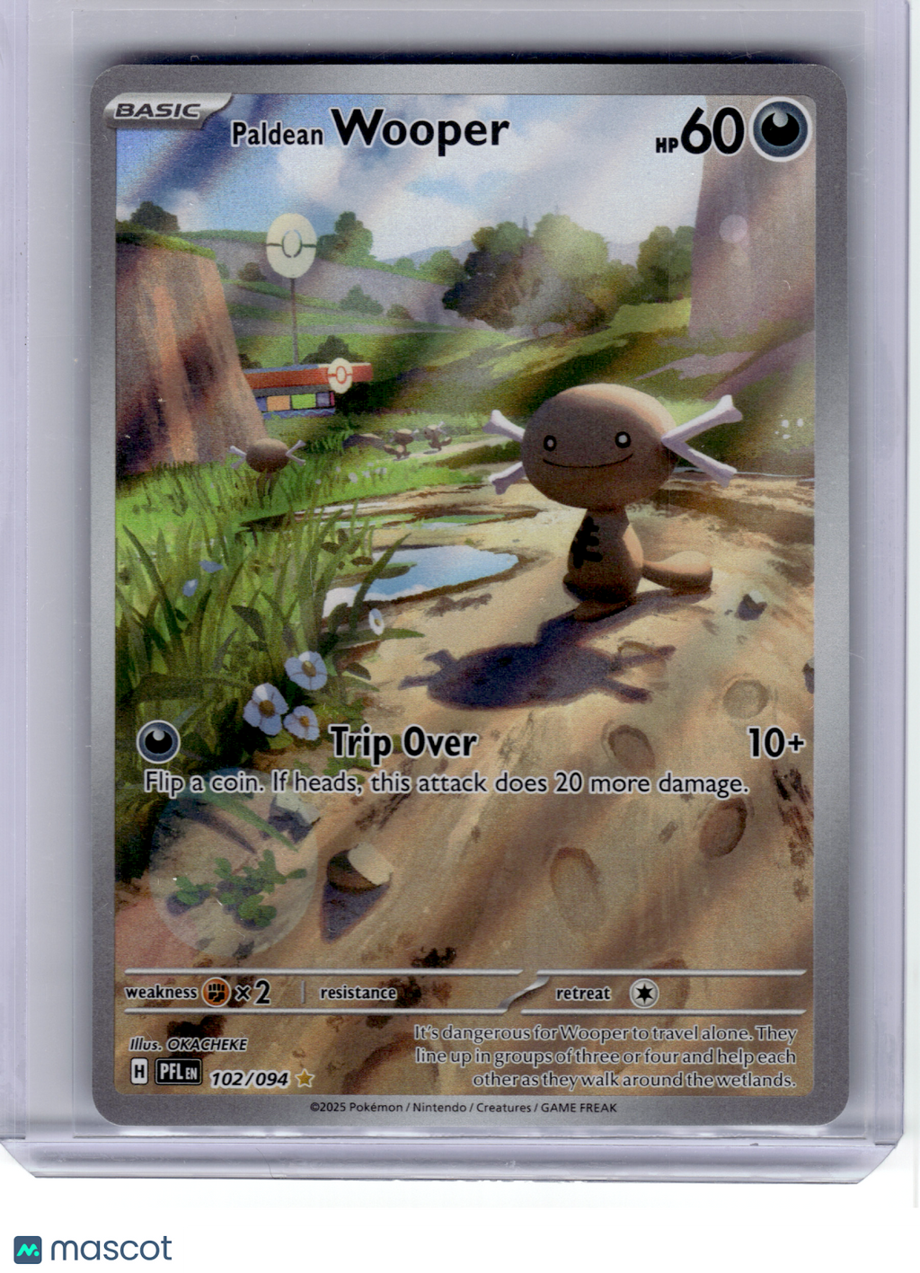 2025 Pokemon—Paldean Wooper #102 Phantasmal Flames—Illustration Rare Holo