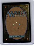 2022 MagicTG—Glimpse of Nature #2004 Secret Lair Countdown Kit—Rare Non-Foil