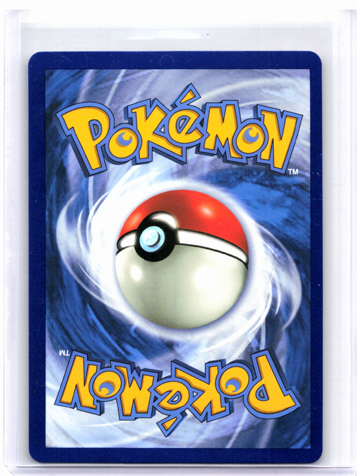 2019 Pokemon—Charizard GX #SM211 Sun & Moon Promos—Black Star Promo Holo