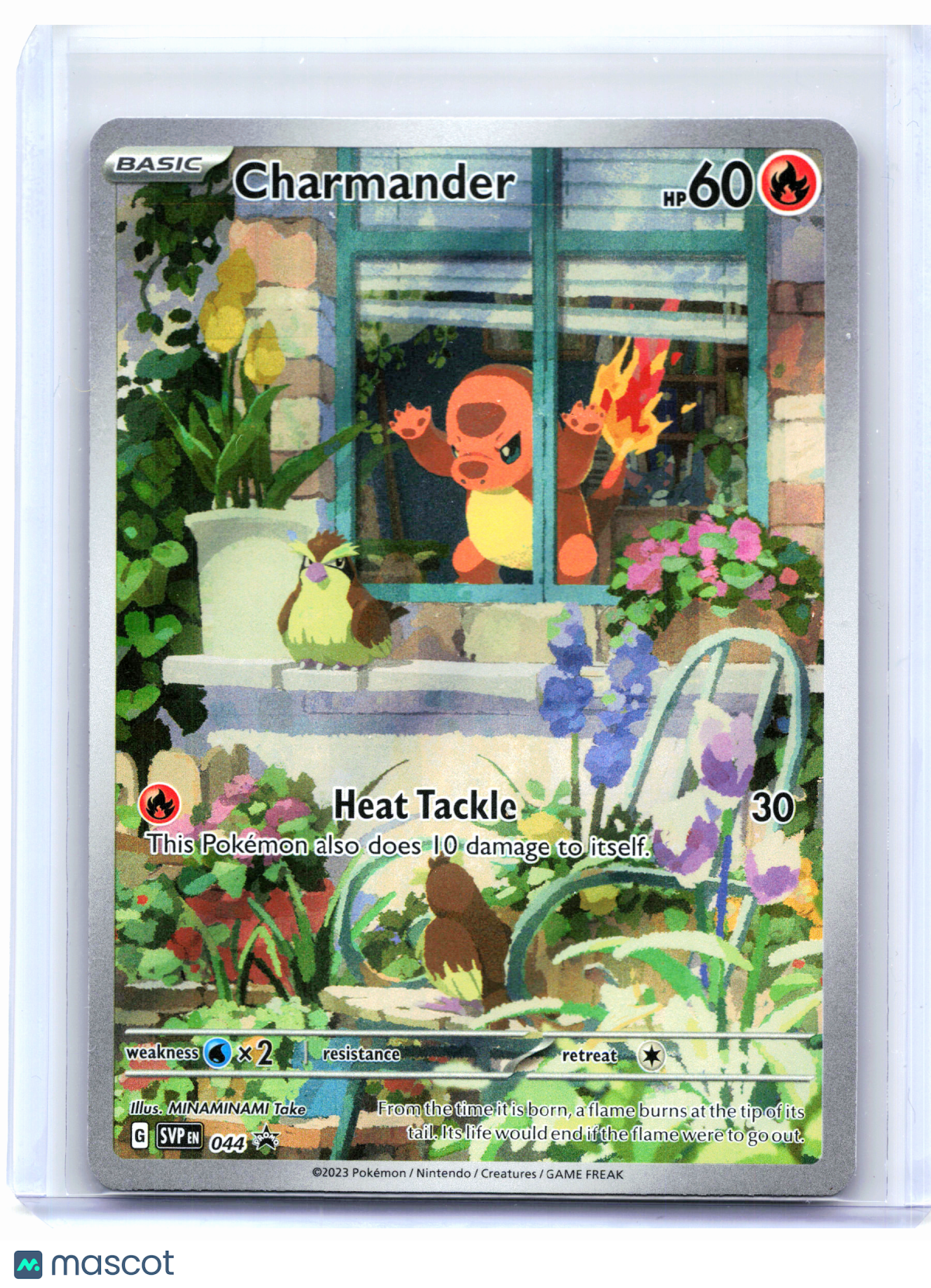 2023 Pokemon—Charmander #044 Scarlet & Violet Promo—Black Star Promo Holo