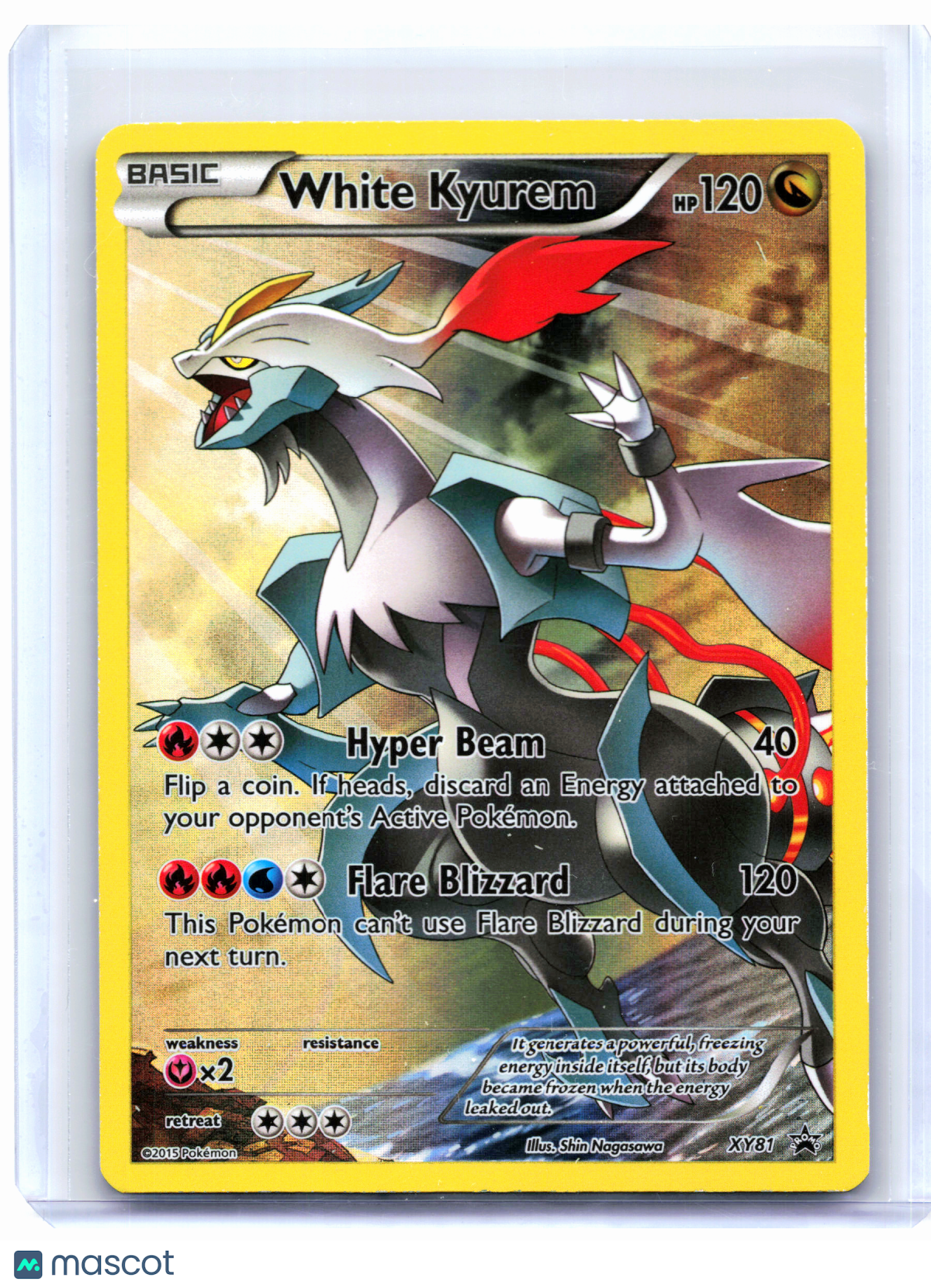 2015 Pokemon—White Kyurem #XY81 XY Promos—Black Star Promo Holo [Lightly Played]