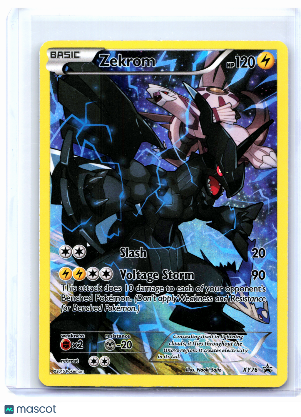 2015 Pokemon—Zekrom #XY76 XY Promos—Black Star Promo Holo [Moderately Played]