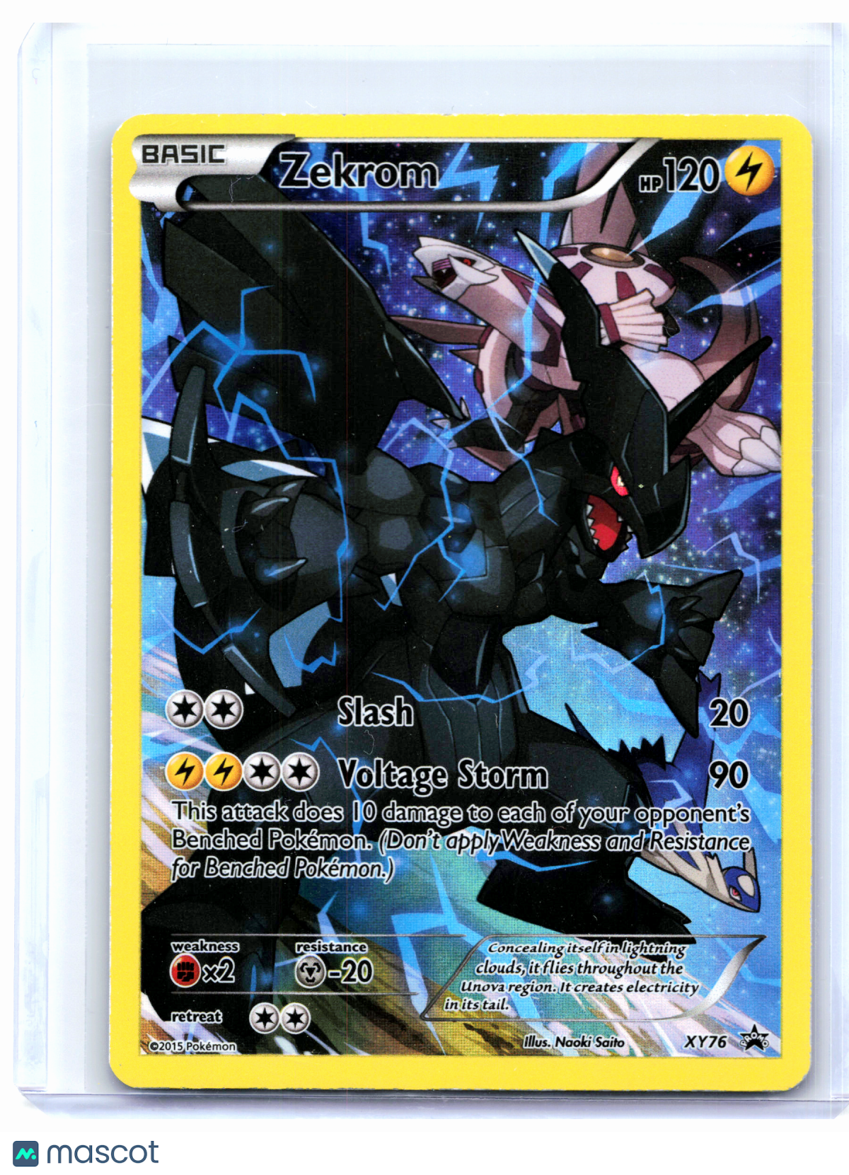 2015 Pokemon—Zekrom #XY76 XY Promos—Black Star Promo Holo [Moderately Played]