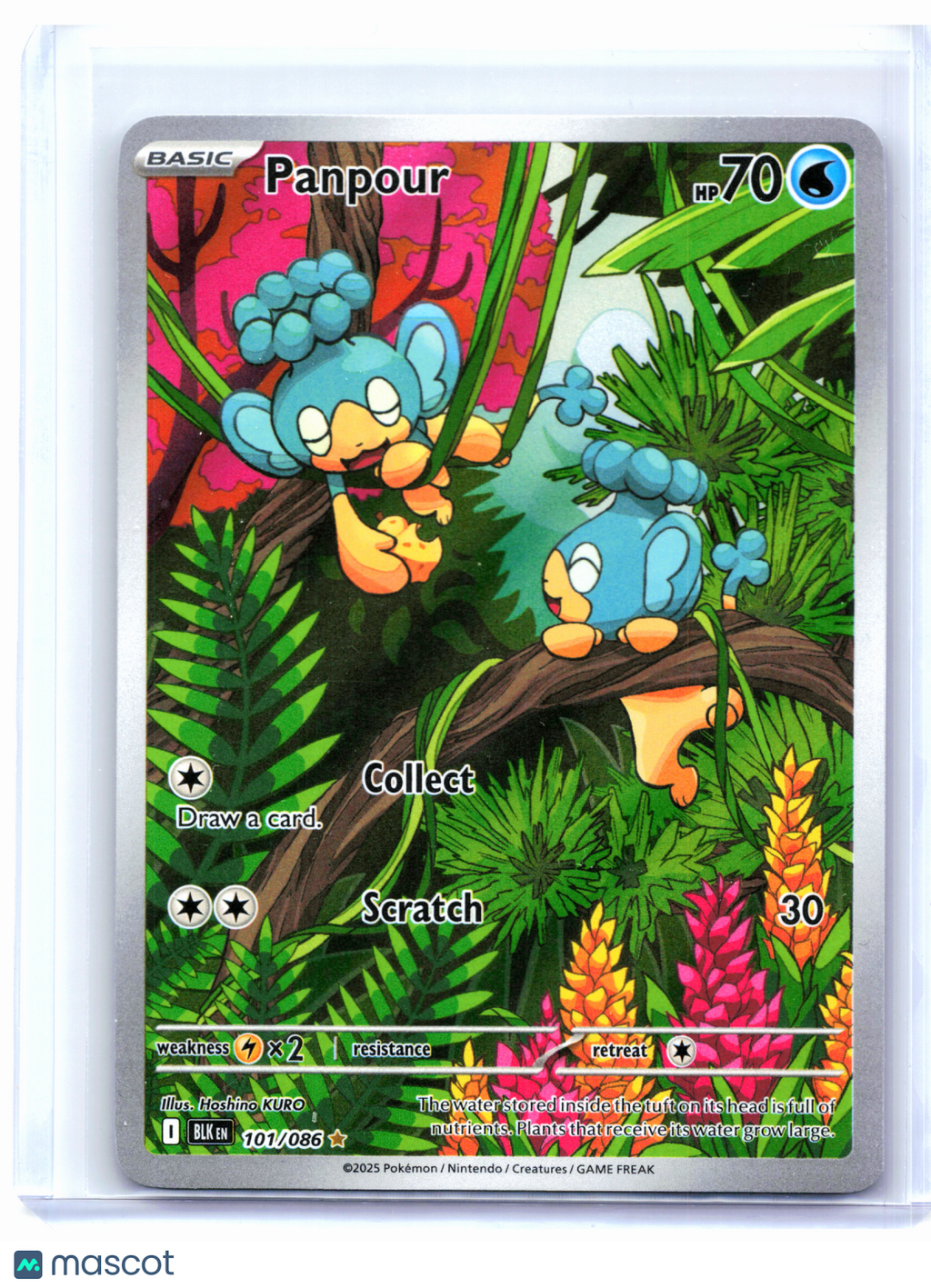 2025 Pokemon—Panpour #101/086 Black Bolt—Illustration Rare Holo