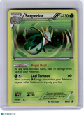 2011 Pokemon—Serperior #BW20 Black & White—Black Star Promo Holo