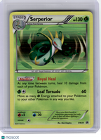 2011 Pokemon—Serperior #BW20 Black & White—Black Star Promo Holo