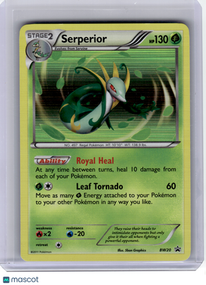 2011 Pokemon—Serperior #BW20 Black & White—Black Star Promo Holo