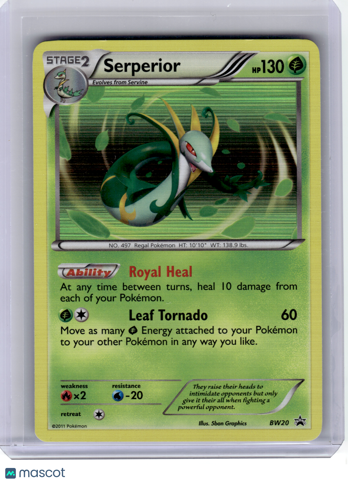 2011 Pokemon—Serperior #BW20 Black & White—Black Star Promo Holo