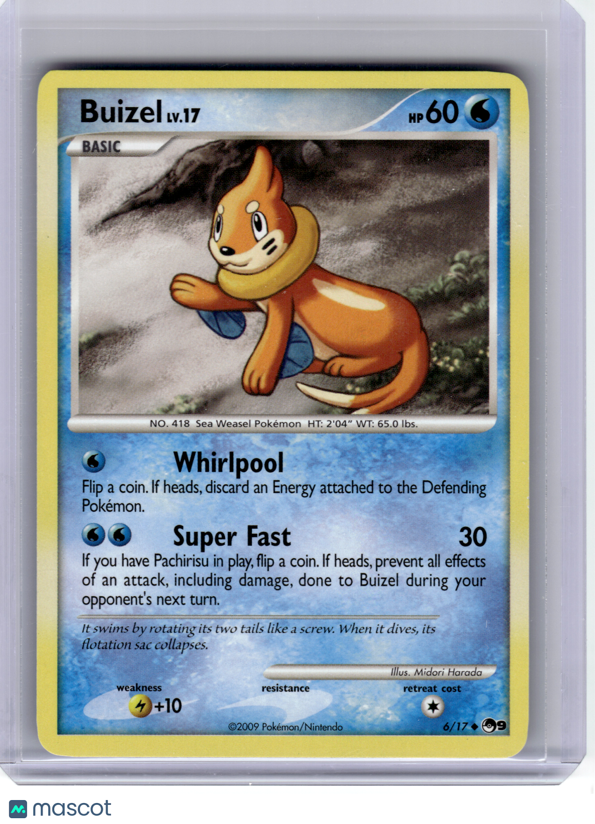 2009 Pokemon—Buizel #6 POP Series 9—Uncommon Non-Holo
