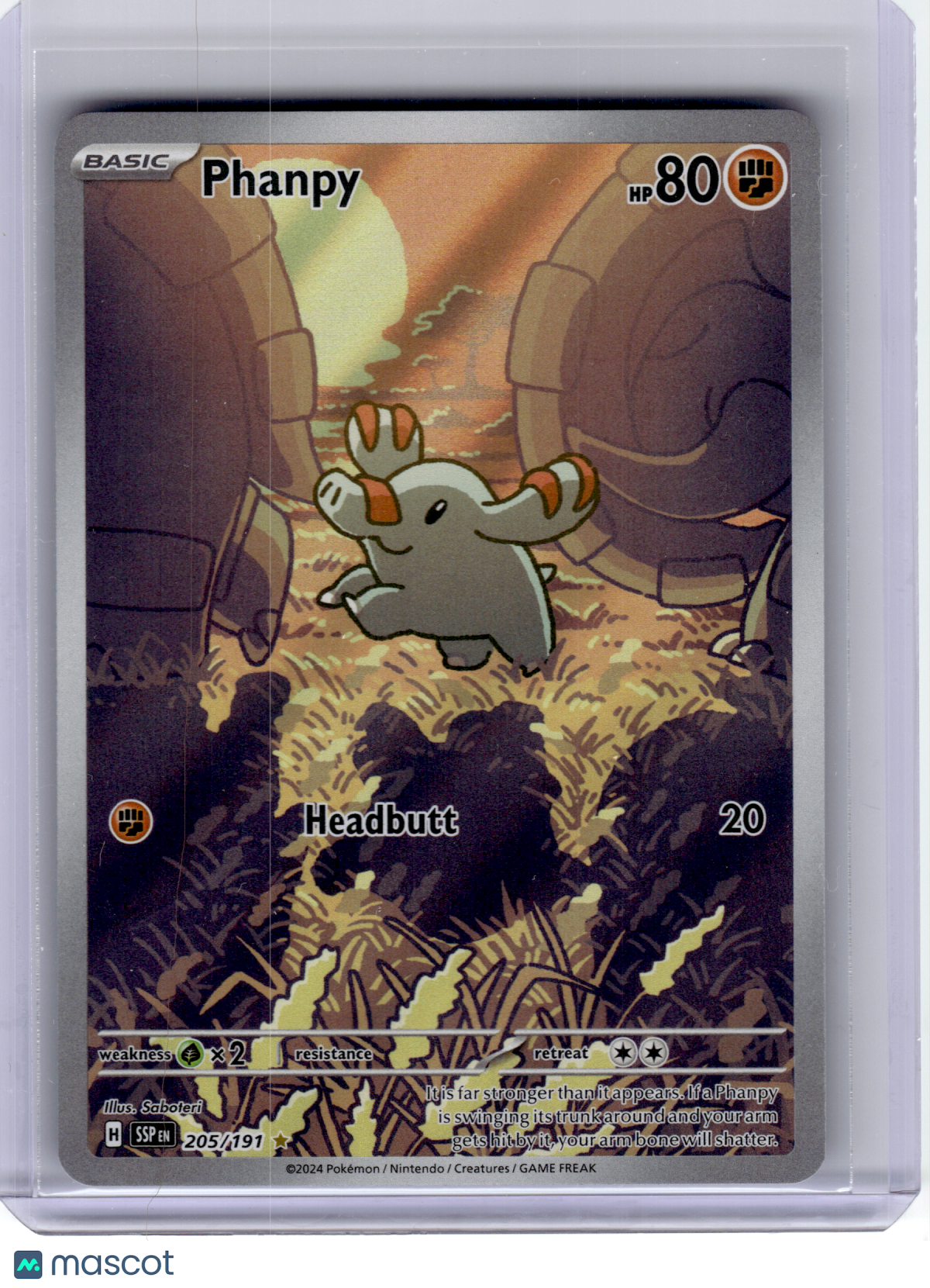 2024 Pokemon—Phanpy #205 Surging Sparks—Illustration Rare Holo