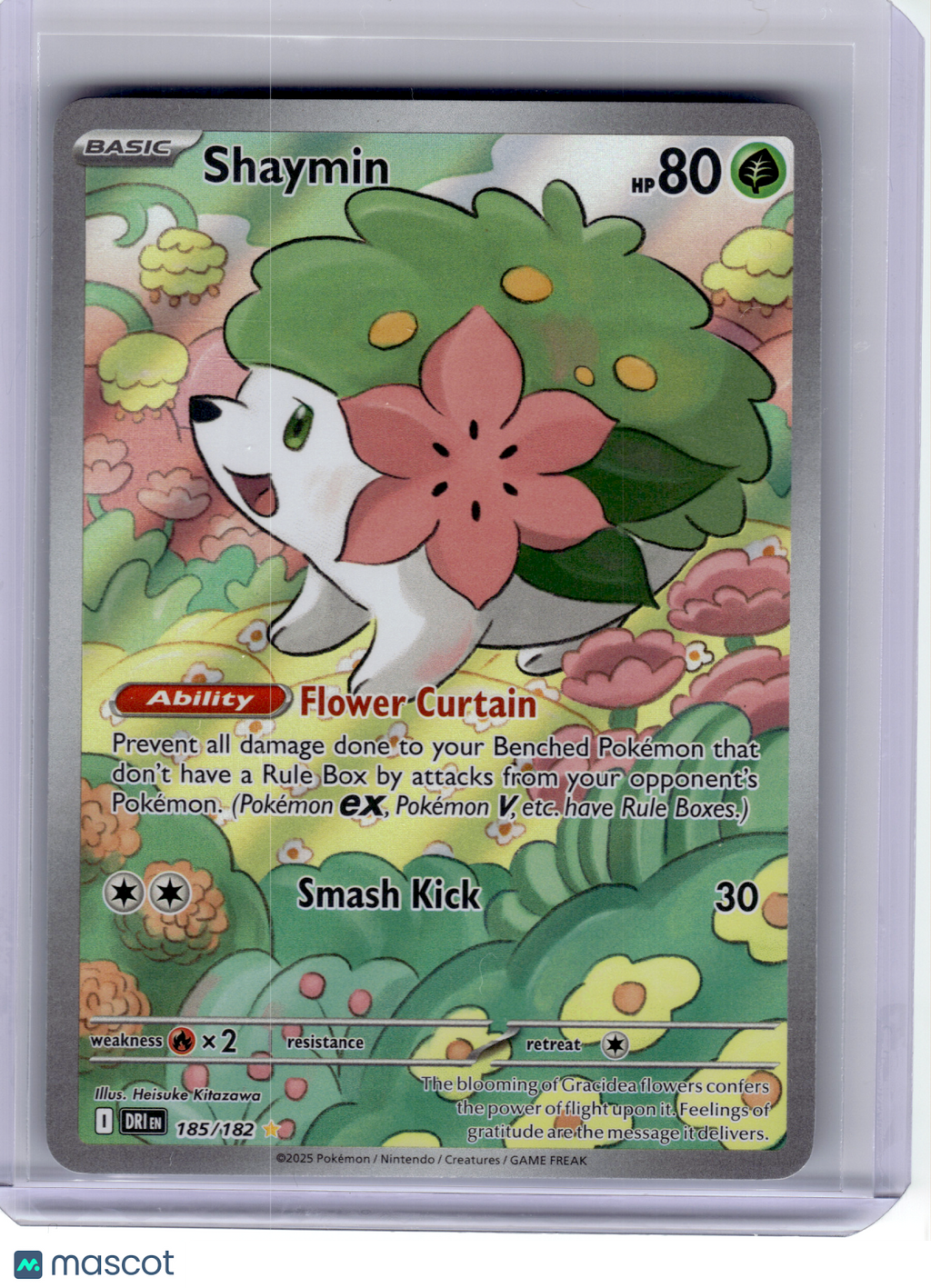 2025 Pokemon—Shaymin #185 Destined Rivals—Illustration Rare Holo [LP]
