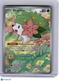 2025 Pokemon—Shaymin #185 Destined Rivals—Illustration Rare Holo [LP]