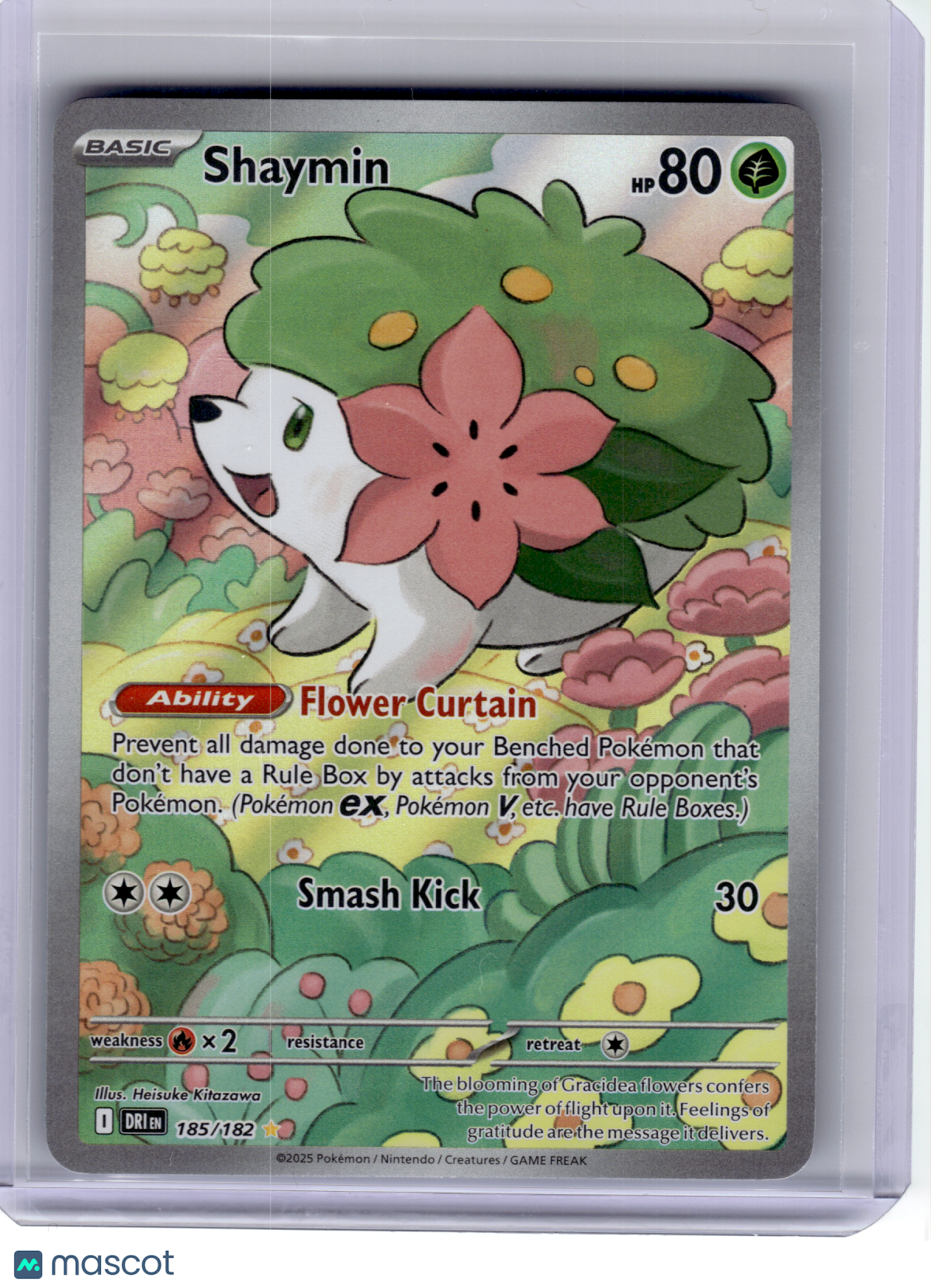 2025 Pokemon—Shaymin #185 Destined Rivals—Illustration Rare Holo [LP]