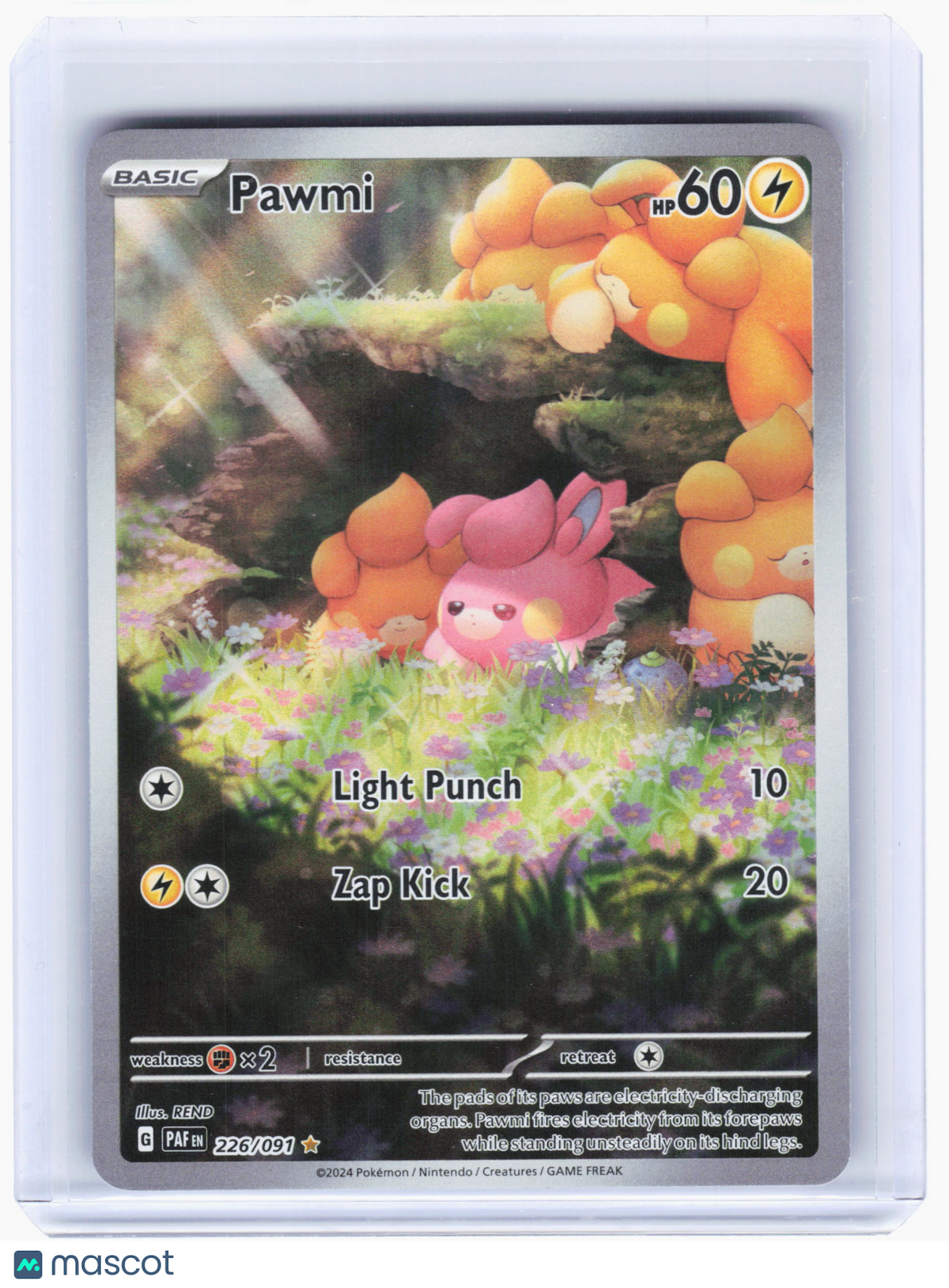 2024 Pokemon—Pawmi #226 Paldean Fates—Illustration Rare Holo