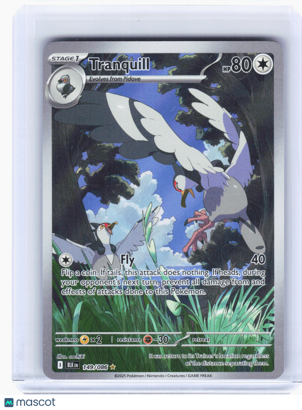 2025 Pokemon—Tranquill #149 Black Bolt—Illustration Rare Holo