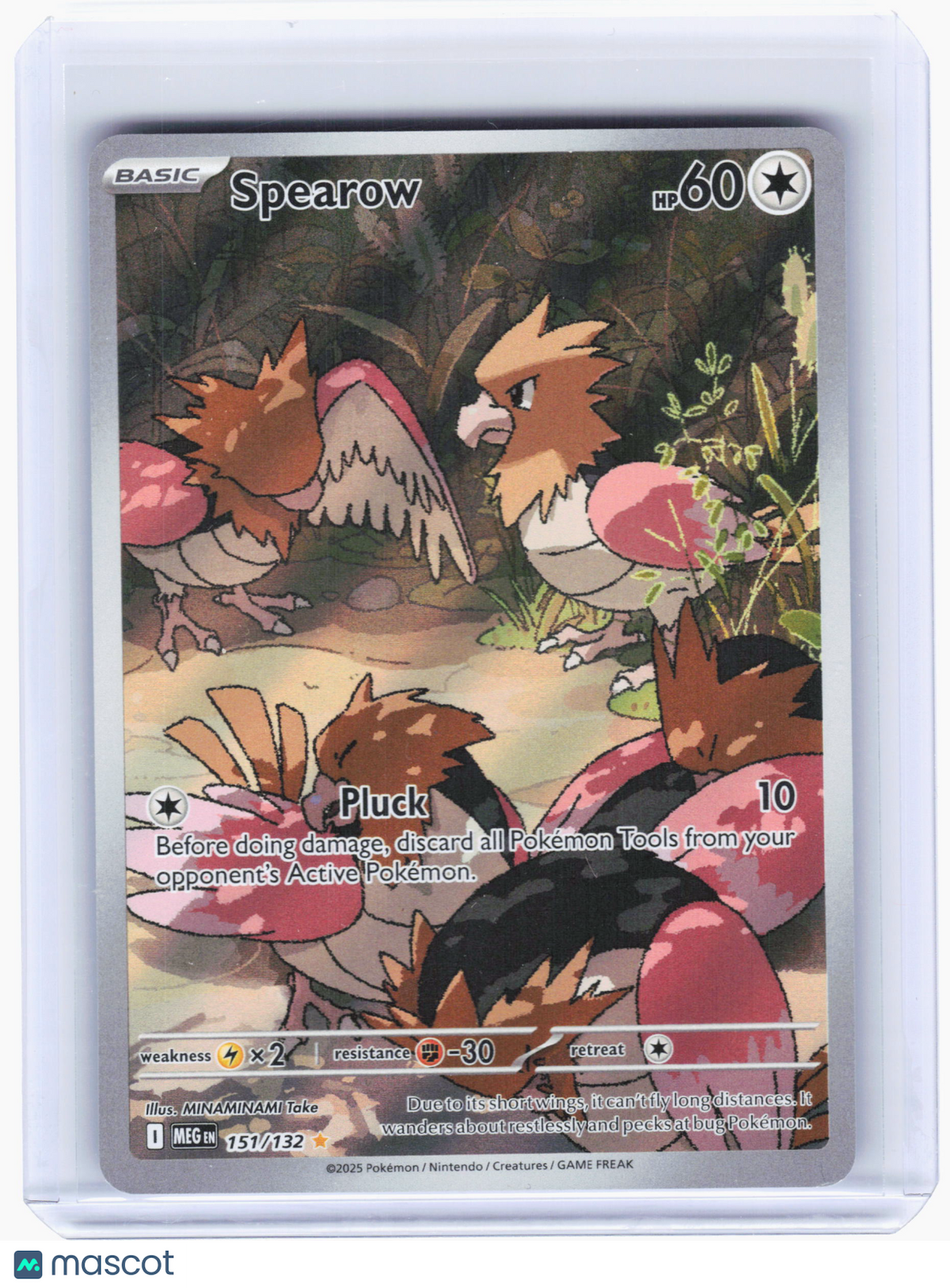 2025 Pokemon—Spearow #151 Mega Evolution—Illustration Rare Holo