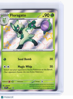 2024 Pokemon—Floragato #077 Scarlet & Violet Promo Cards—Black Star Promo Holo