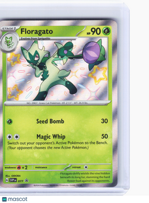 2024 Pokemon—Floragato #077 Scarlet & Violet Promo Cards—Black Star Promo Holo