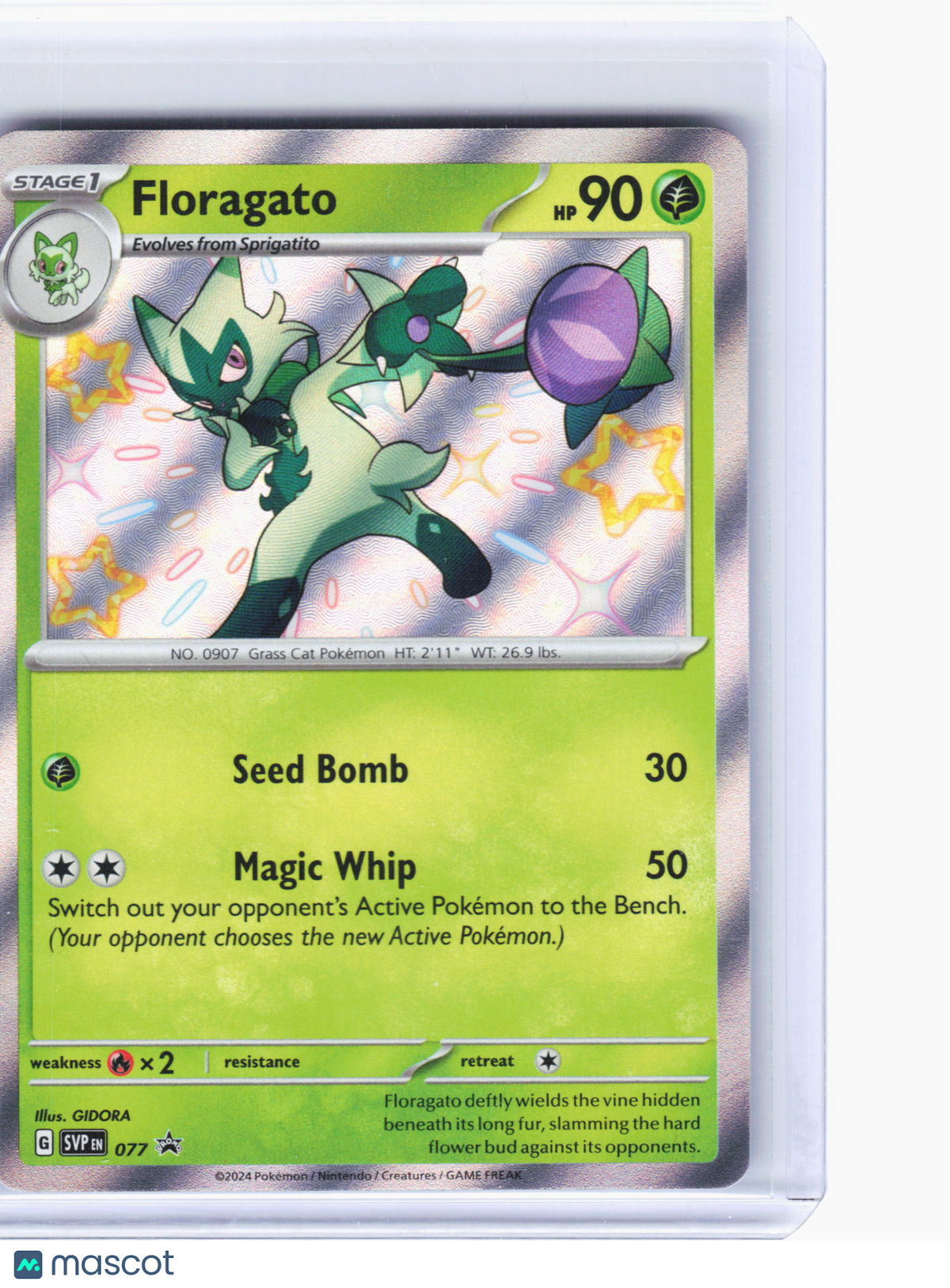 2024 Pokemon—Floragato #077 Scarlet & Violet Promo Cards—Black Star Promo Holo