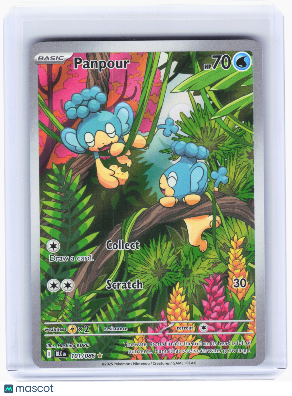 2025 Pokemon—Panpour #101 Black Bolt—Illustration Rare Holo