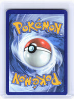 2025 Pokemon—Panpour #101 Black Bolt—Illustration Rare Holo